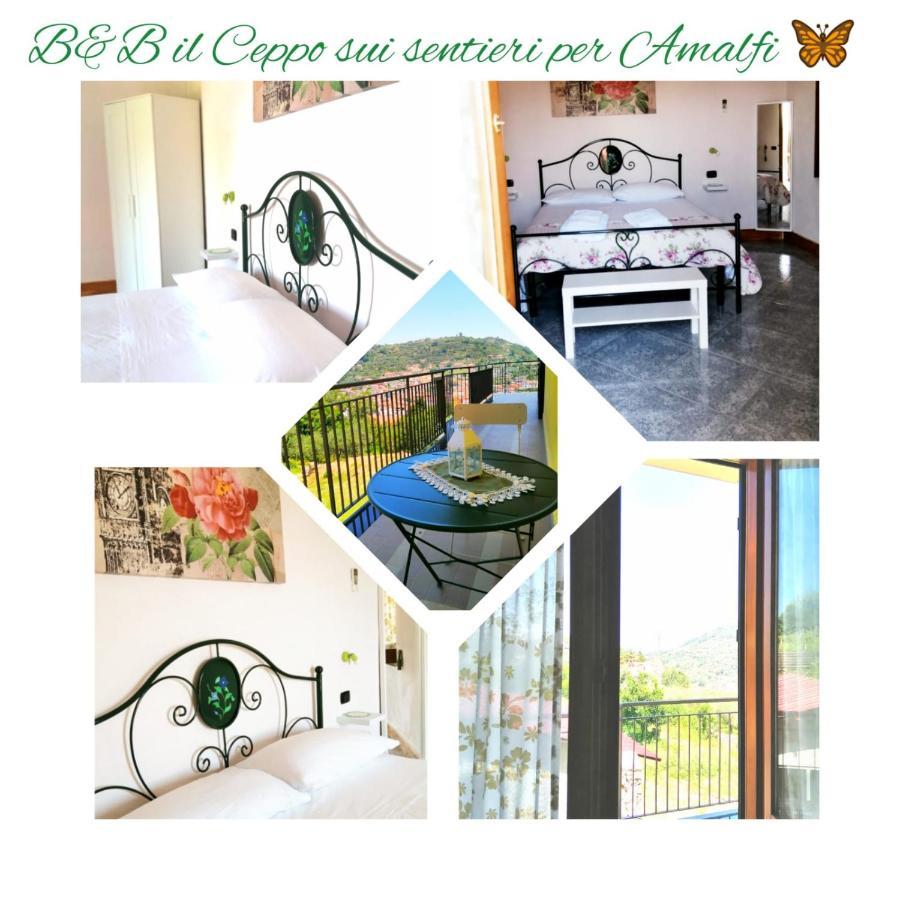 Il Ceppo Sui Sentieri Per Amalfi Bed & Breakfast Pimonte Luaran gambar